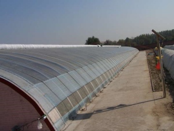 Wall Type Solar Warm Greenhouse