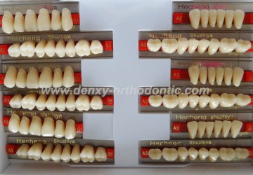 Upper &Lower Full Set Flase Synthetic Resin Teeth