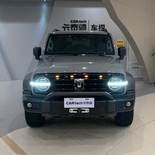 Tank 300 Версия 2.0T Luxury Dealerhips внедорожников