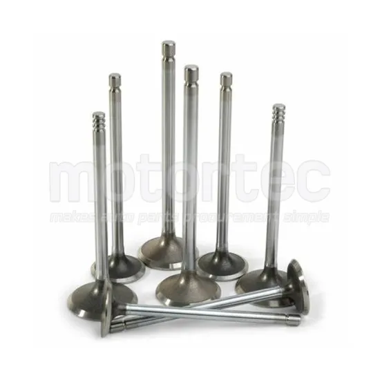 Changan F70 Hunter Engine Valves: Steel Intake and Exhaust Valves