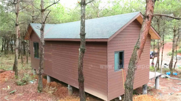 Natural and eco-friendly wpc wall panel/wpc house