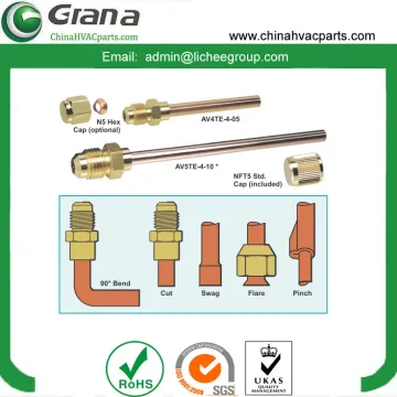 Refrigerant R134 access valve