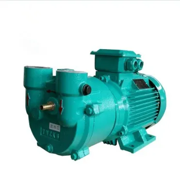 Kenflo Liquid Ring Vacuum Pump: Similar Models and Options
