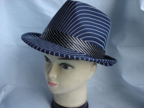 Felt Hat(XX2010-002)