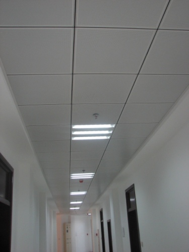 Perforated Lay in Ceiling