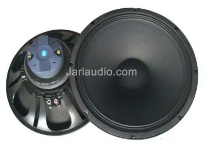 Professional PA Loudspeaker