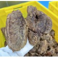 Carne de iaque refogada com molho