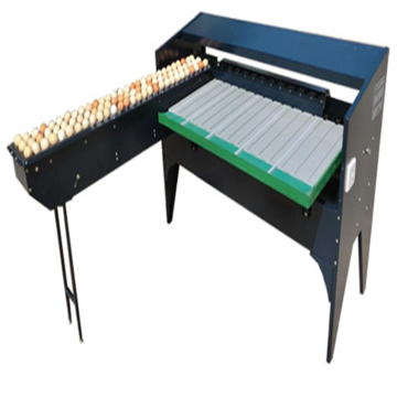 Newest Egg Sorter Machine and Grading Production Line for Sale