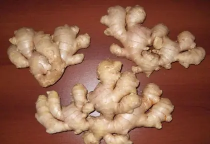 Fresh Organic Dry Ginger