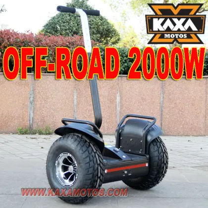 Smart Electric Scooter 2000W