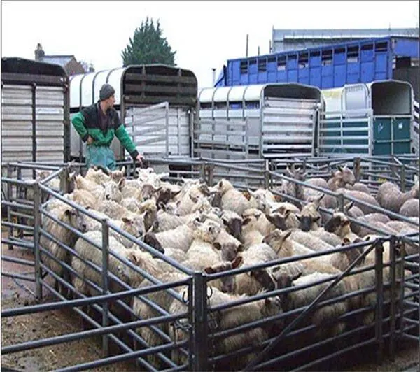 Caballo de cercas de animales galvanizado/oveja/ganado ganado panel de la granja de ganado