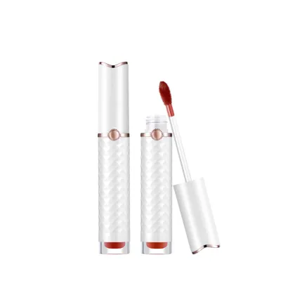 Waterproof Luxury Velvet Lip Glaze Matte Lip Gloss