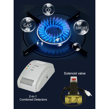 220V AC Gas CO kombinierter Detektor CO und Gasdetektor ab Werk