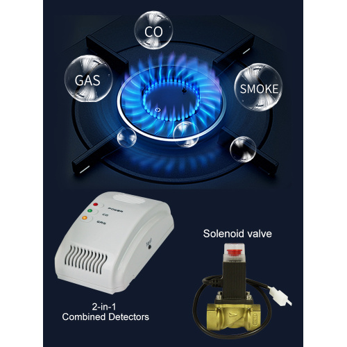 Capteur d&#39;alarme incendie de fuite de gaz de bonne qualité détecteur combiné de monoxyde de carbone de gaz naturel de butane