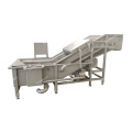 Fruit and vegetable chilli bubble washing processing line