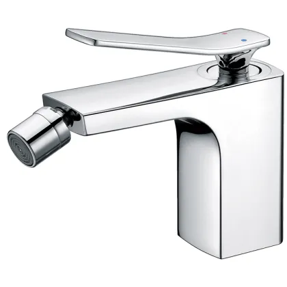 Matte Black Bidet Faucets