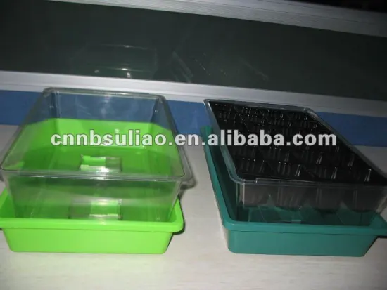 seedlings nursery pot