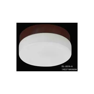Modern ceiling lighting ideas