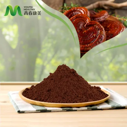 Organic Reishi Mushroom Extract Powder
