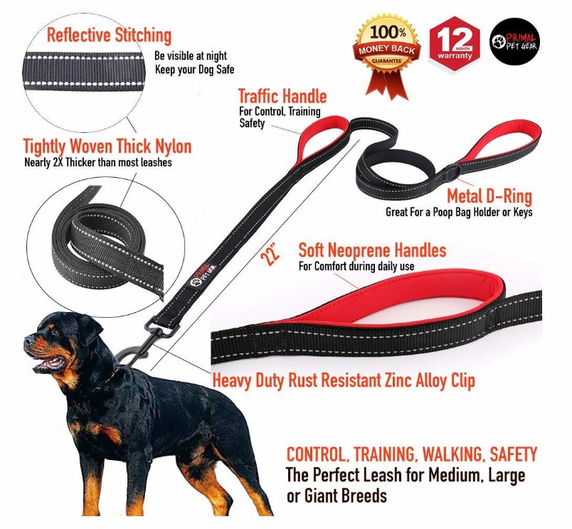 Dog Leash 6ft Long