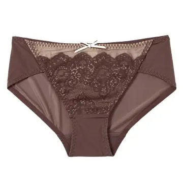 Women\'s Mesh Panties Briefs Shorts