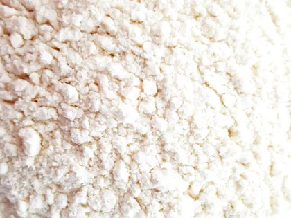 Food Seasoning Food Dehydrated Garlic Powder