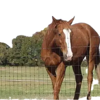 Hot Dipped Galvanized Horse and Cattle Fence with PVC Coating