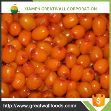 Chinese iqf frozen sea buckthorn berries supplier