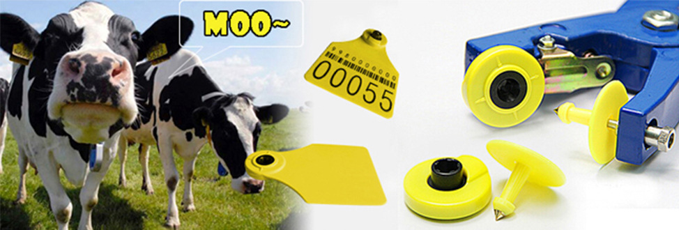 rfid ear tags 