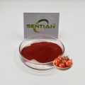 High Quality Tomato Powder for Food Industry