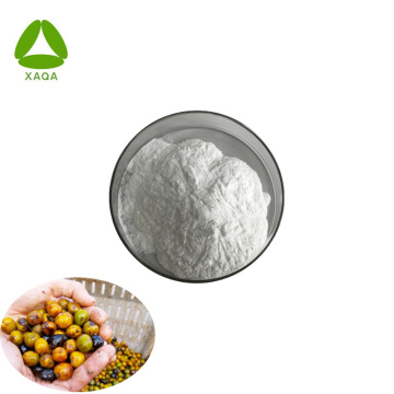 Organic Saw Palmetto Extract 25% Fatty Acid Powder