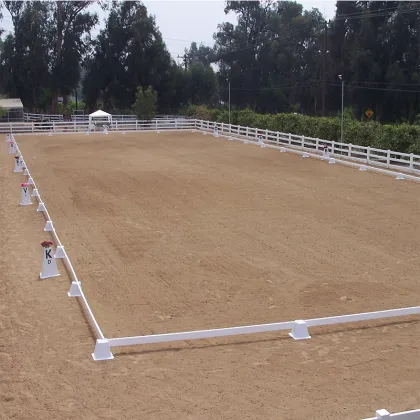 Standard Dressage Arena Layout