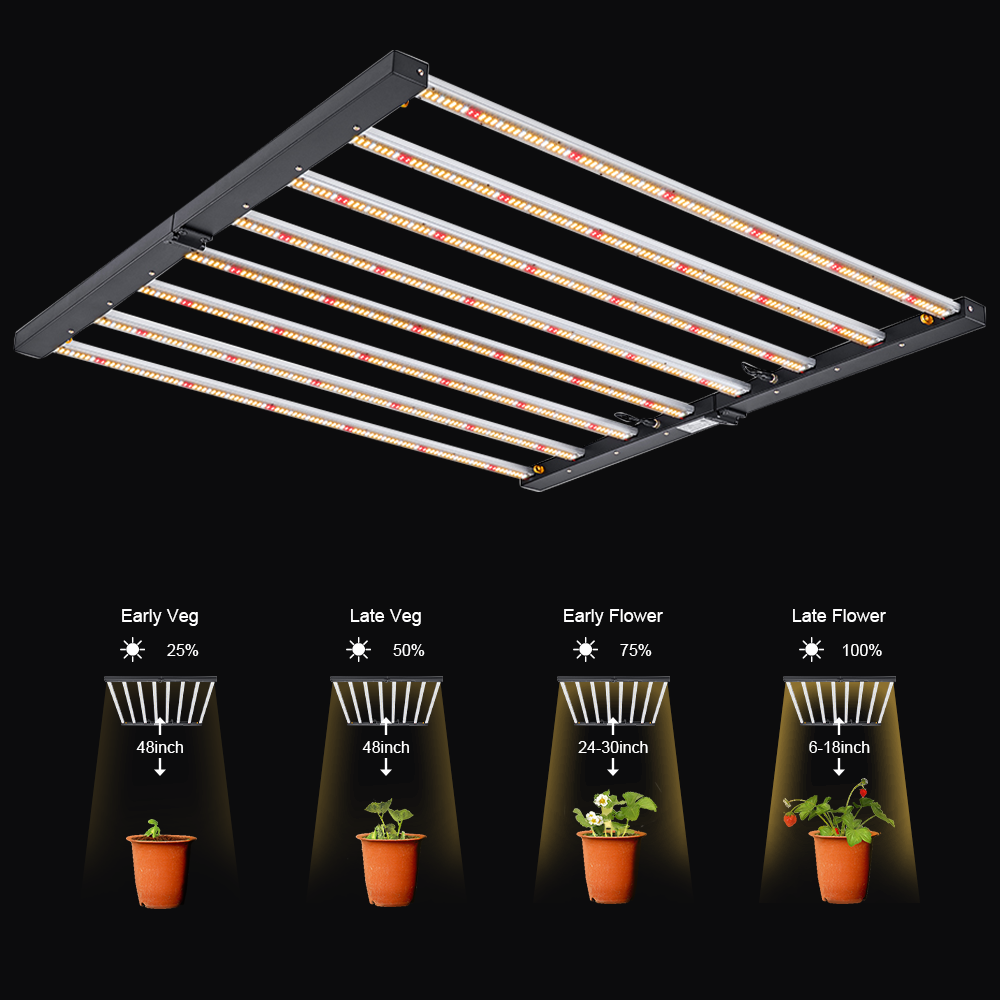 Outdoor Grow Lights For Vegetables