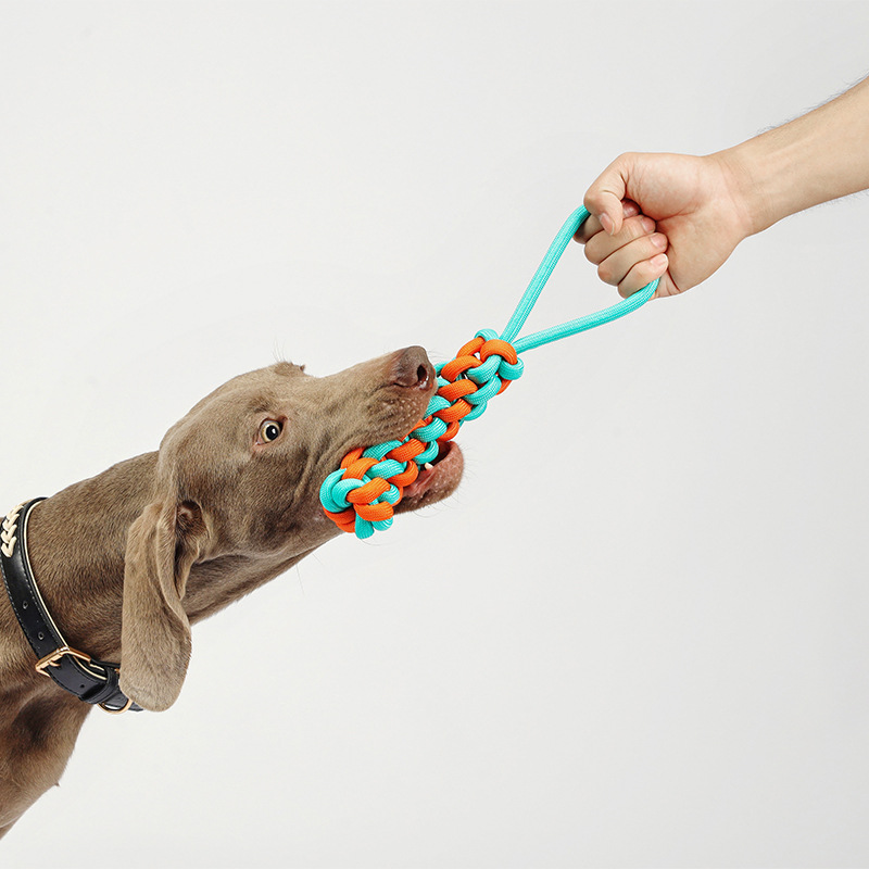 Dog Rope Toys