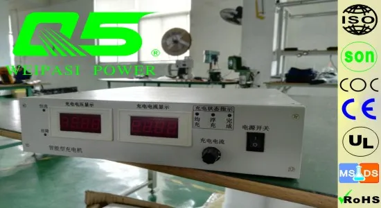24V100A Auto-Converting System Trickle Lead acid battery Charger Storage Battery Charger