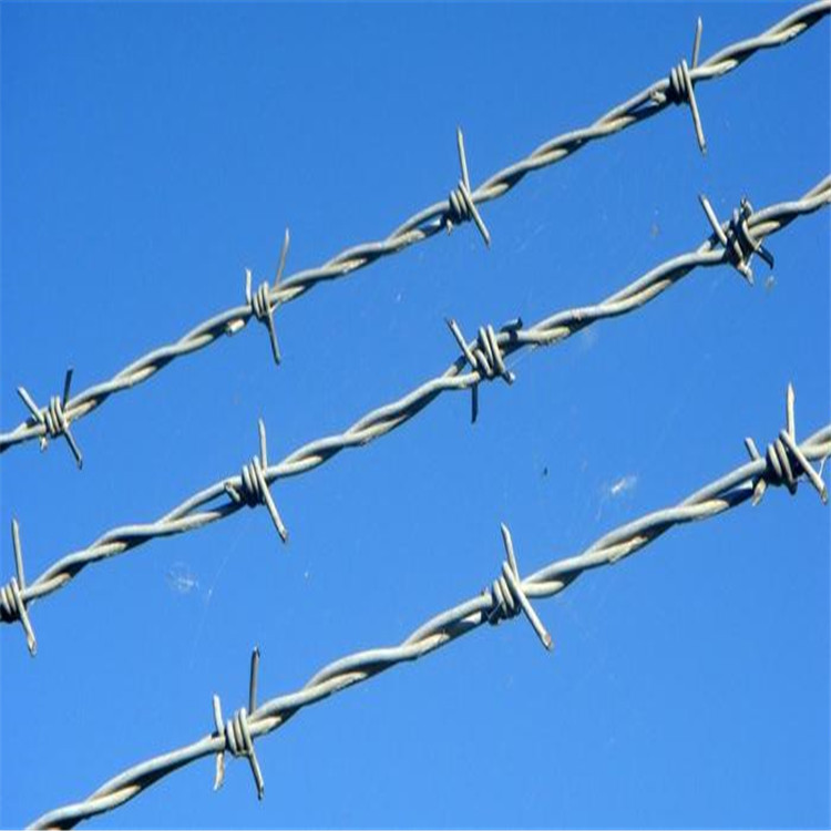 concertina barbed wire mesh fencing per roll