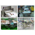 Enhancing Safety in the Frozen Food Industry with Metal Detectors