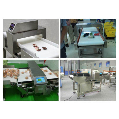 Enhancing Safety in the Frozen Food Industry with Metal Detectors