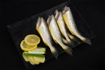 Frozen Small Yellow Croaker Seafood