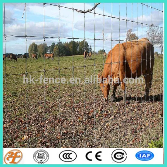 New Zealand box and high tensile fence