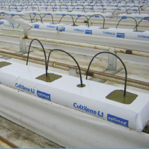 Greenhouse Hydroponics Rock Wool Planting system