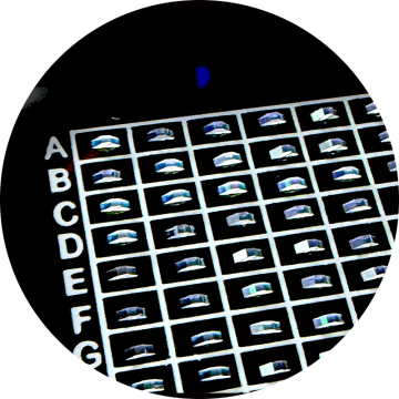 أنظمة تجميع PBS المتقدمة