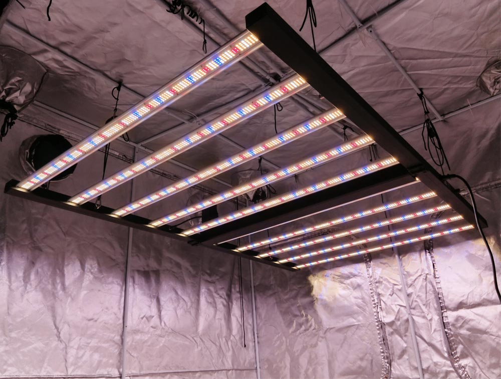 MAKSDEP 1000W Tumbuh Cahaya LED Maksdep 1000w grow light LED