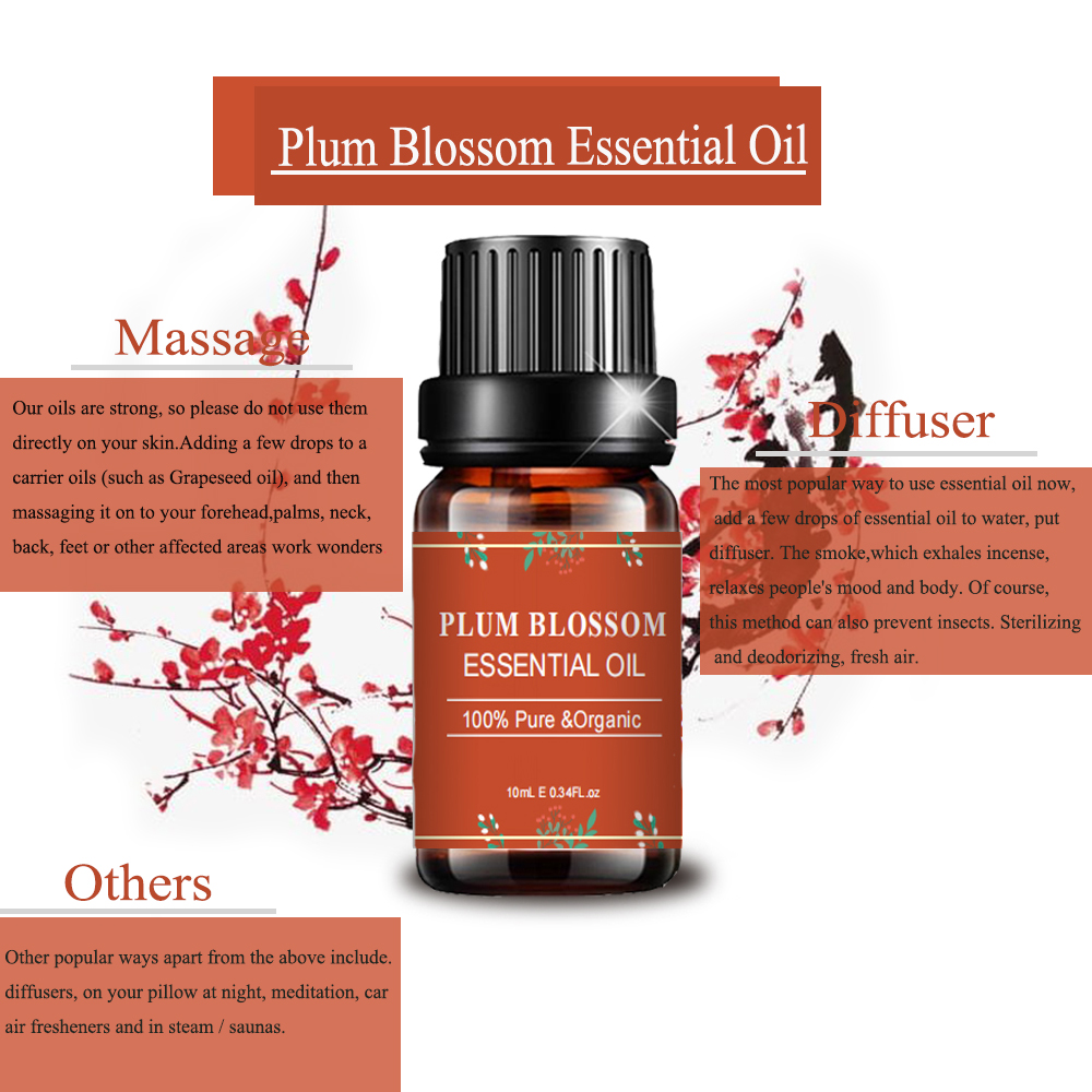 Aroma Fragrance Diffusers Plum Blossom Essential Oils