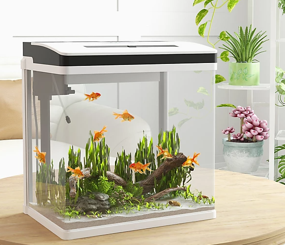 Acrylic for fish tank