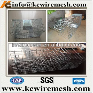 Collapsible metal wire rat trap cage in China.