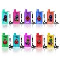 Bản gốc Randm Squid Hộp 5200 Puffs Vape dùng một lần