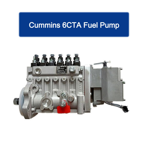Cummins 6CTA8.3 Fuel Pump
