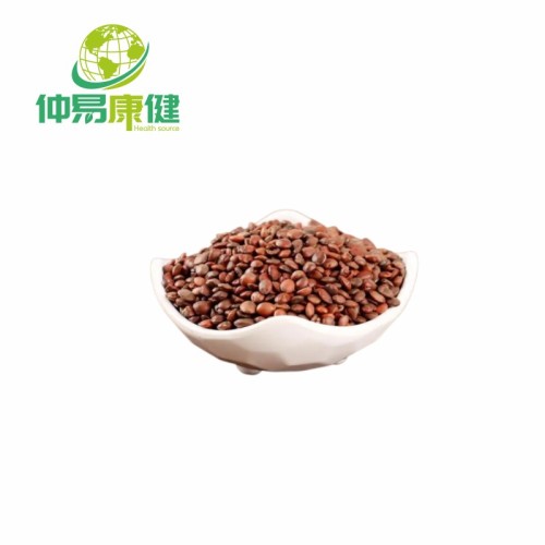 Concentrated Ziziphi Seed Powder 100% Natural Ziziphi Jujubae Extract Powder Supplier