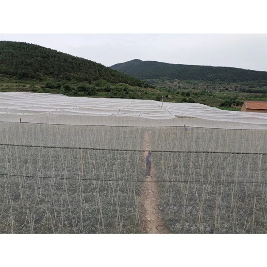 High-Density Insect Proof Net for Greenhouse Orchards and Fruit Tree Protection